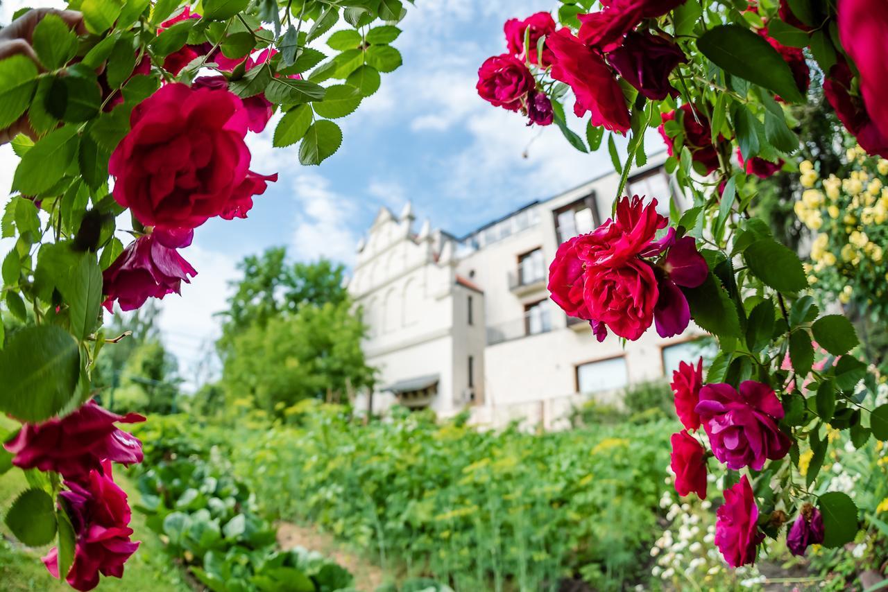 Hotel Krol Kazimierz Kazimierz Dolny Εξωτερικό φωτογραφία